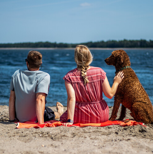 Guide des endroits à visiter avec pitou dans la région Chaleur